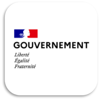 government